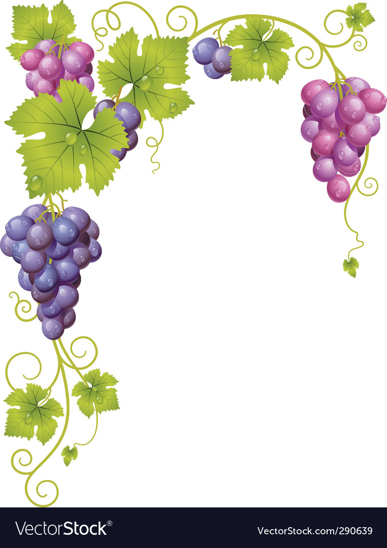 Grape frame Royalty Free Vector Image VectorStock