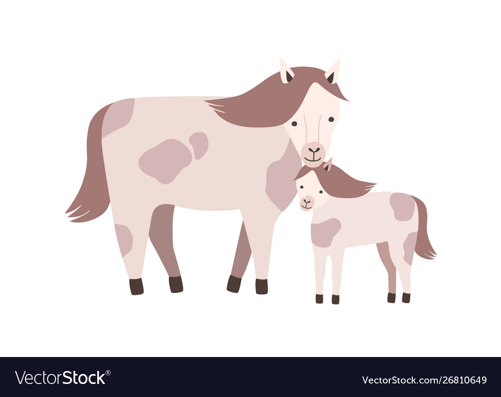 Horse and foal or colt isolated on white Vector Image Horse and foal or colt isolated on white Vector Image
