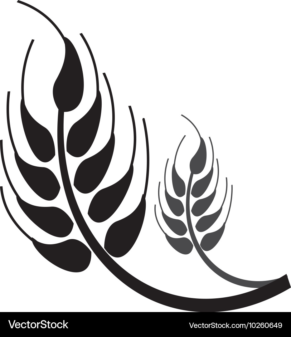 Wheat ear icon Royalty Free Vector Image - VectorStock