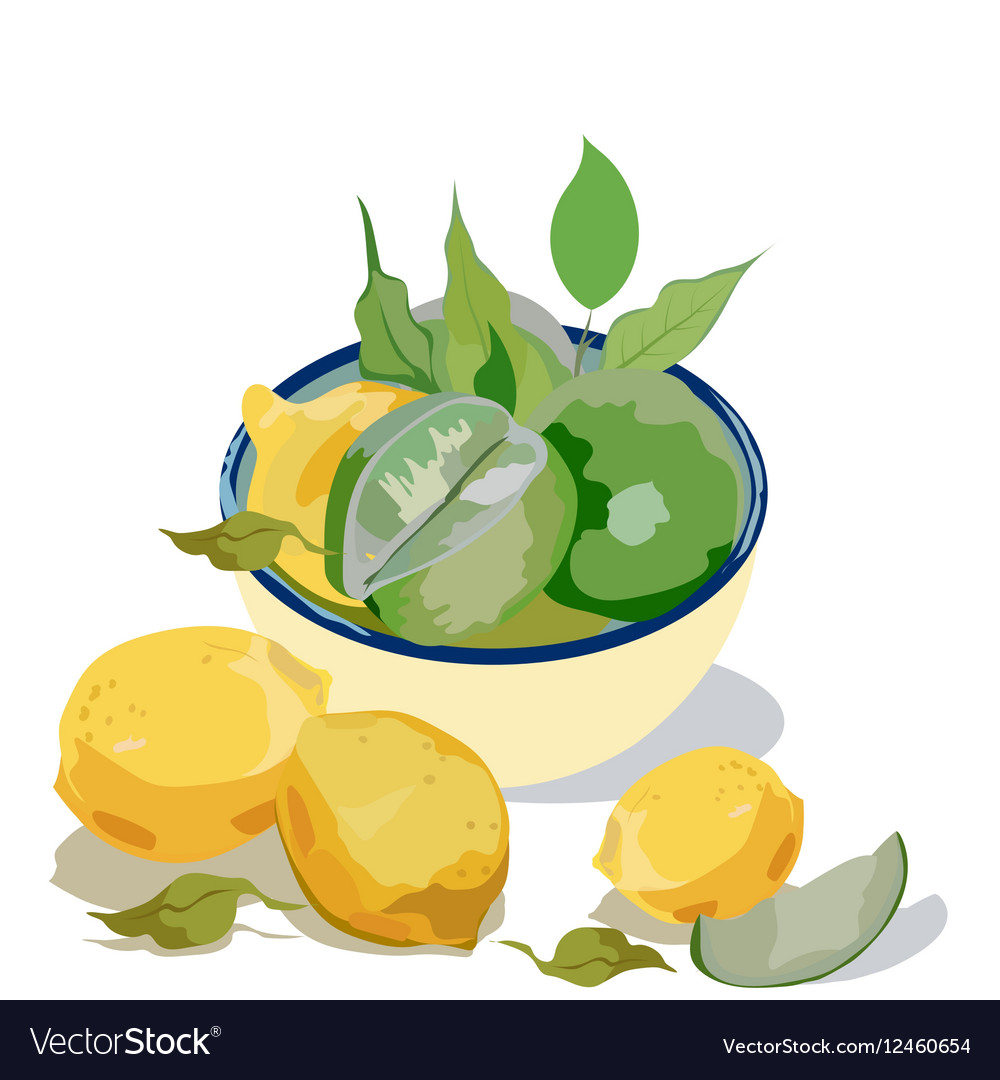 Fresh citrus fruits Royalty Free Vector Image - VectorStock