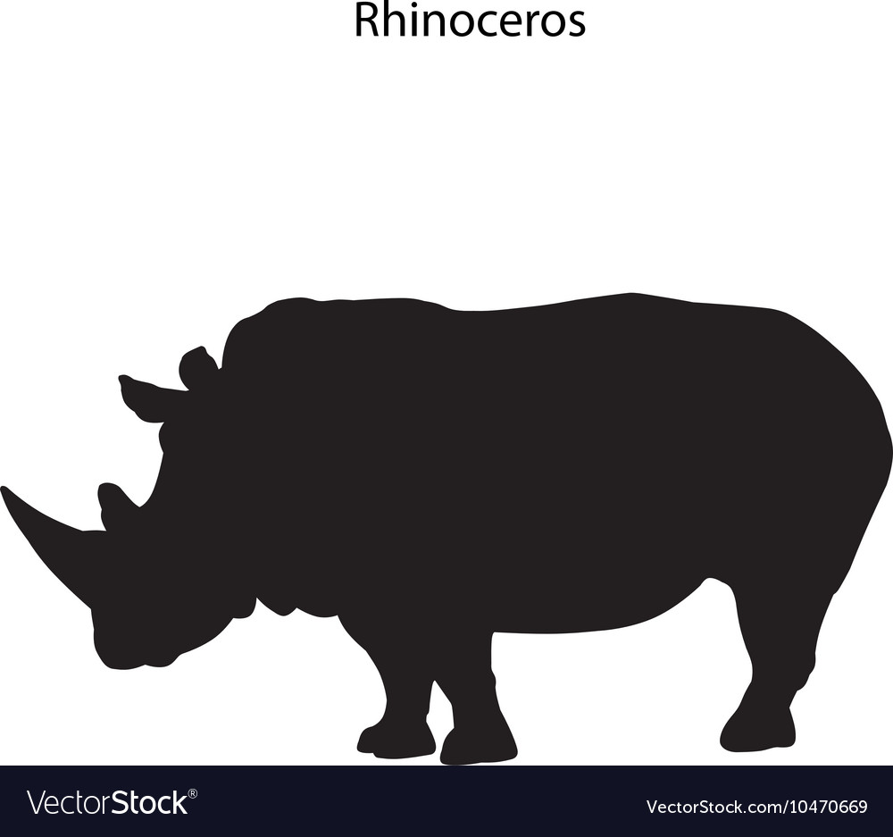 Rhinoceros Royalty Free Vector Image - VectorStock