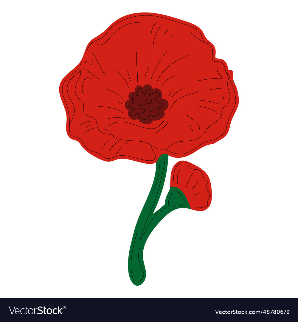 Delicate poppy flower Royalty Free Vector Image