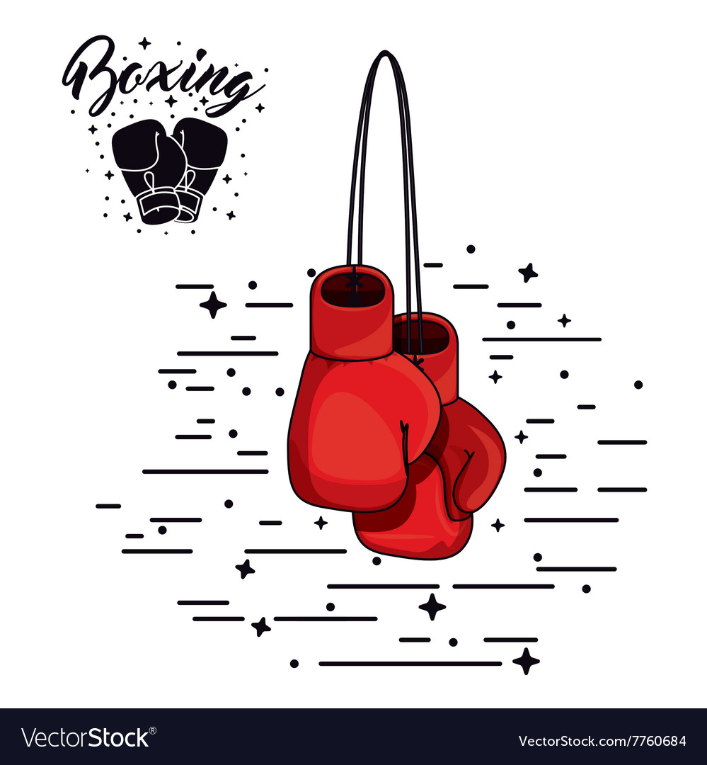 Boxing sport design Royalty Free Vector Image - VectorStock