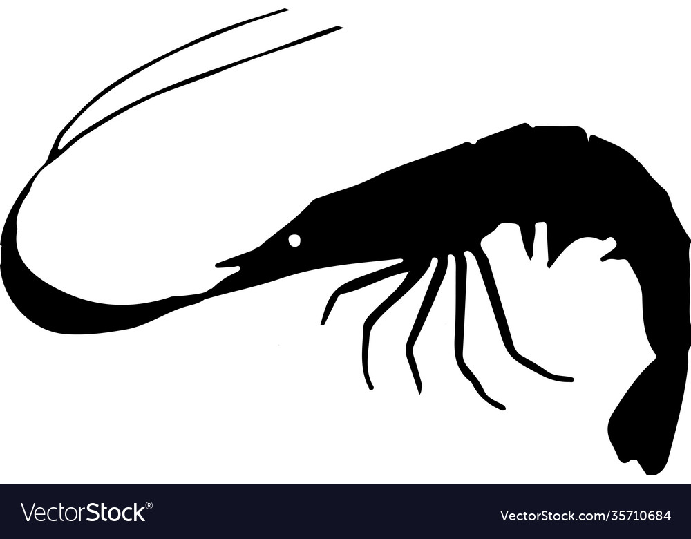 Shrimp icon isolated on white background Vector Image