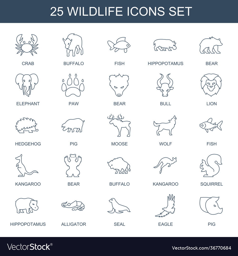 Wildlife icons Royalty Free Vector Image - VectorStock