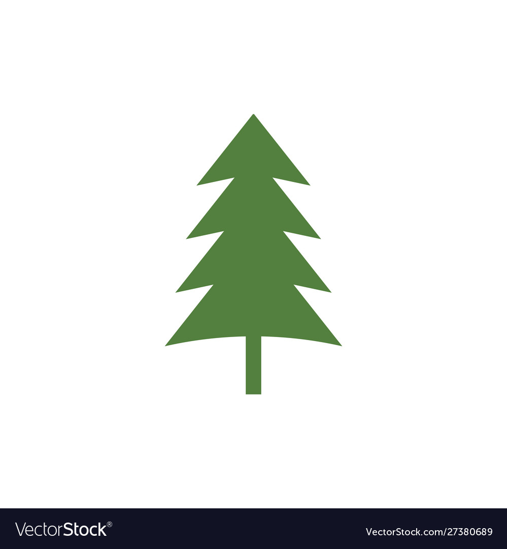 Cedar tree graphic design template isolated Vector Image