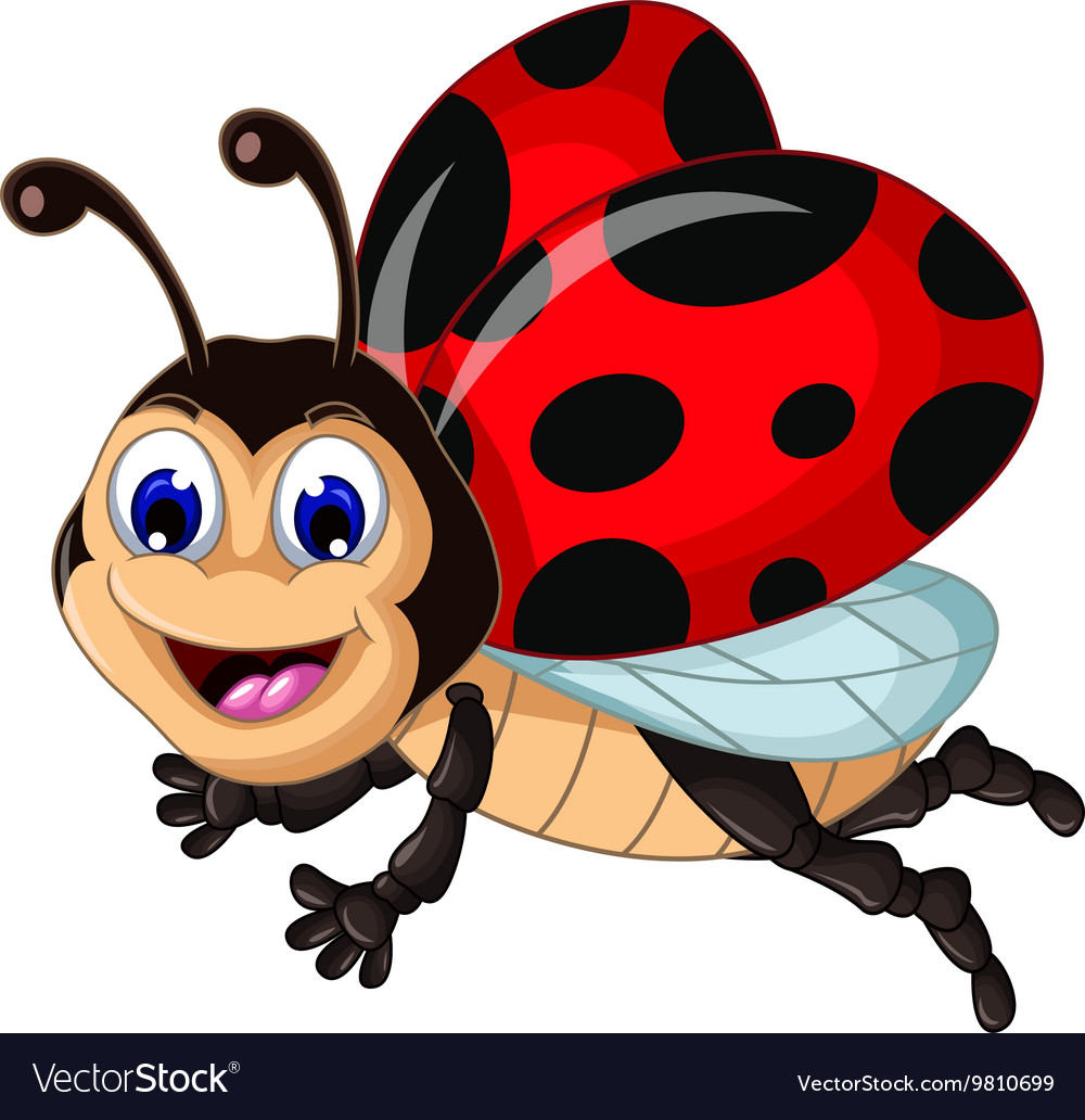 Funny ladybugs flying cartoon for your design Vector Image