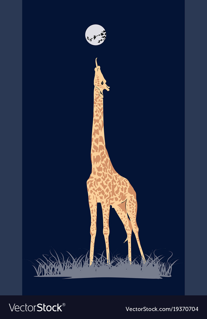 Coloured giraffe Royalty Free Vector Image - VectorStock