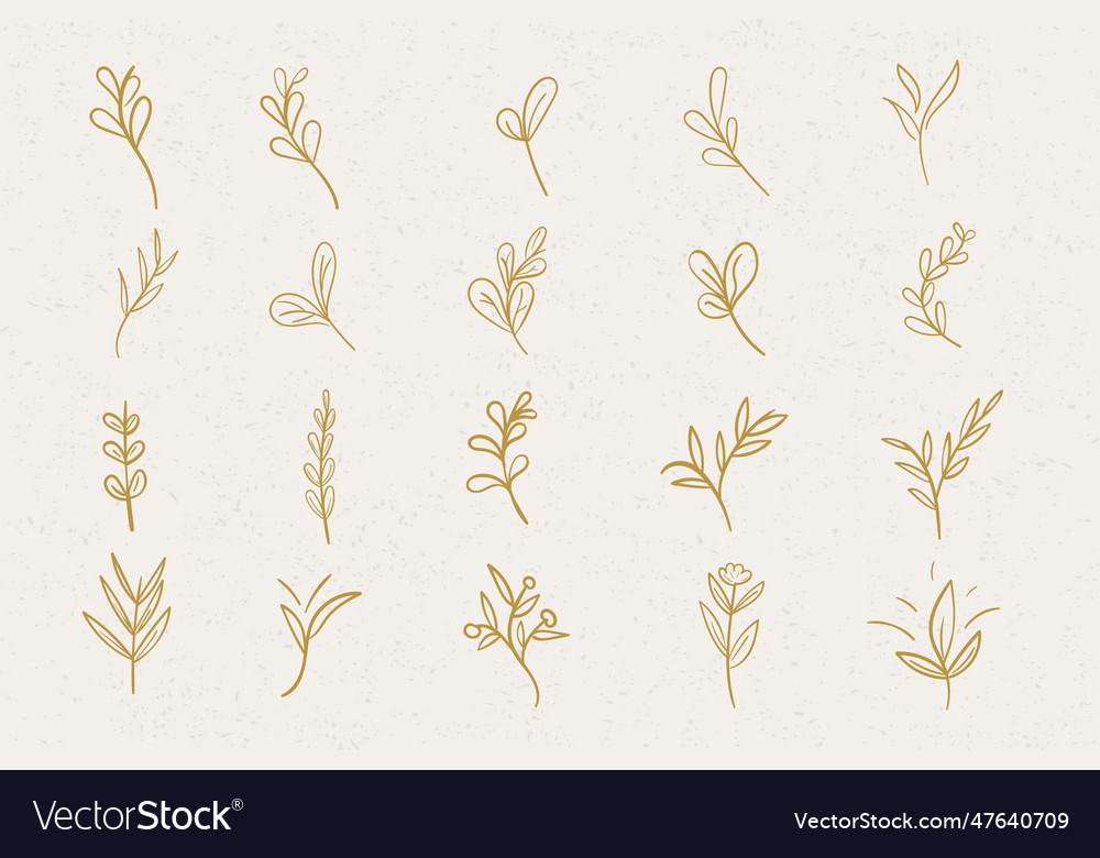 Aesthetic gold foliage elegant leaves line art Vector Image