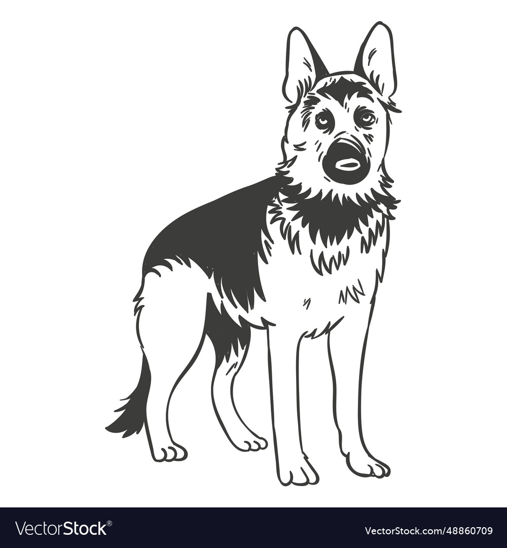 German Shepherd Standing Hand Drawn Dog Royalty Free Vector