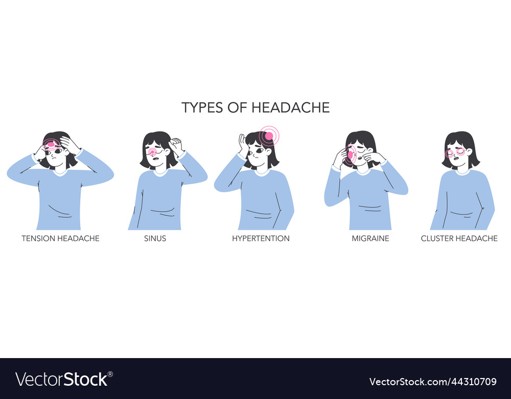 Headache location migraine types infographic Vector Image