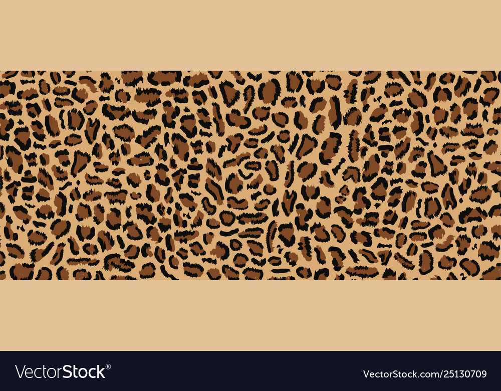 Leopard pattern design vector image Leopard pattern design
