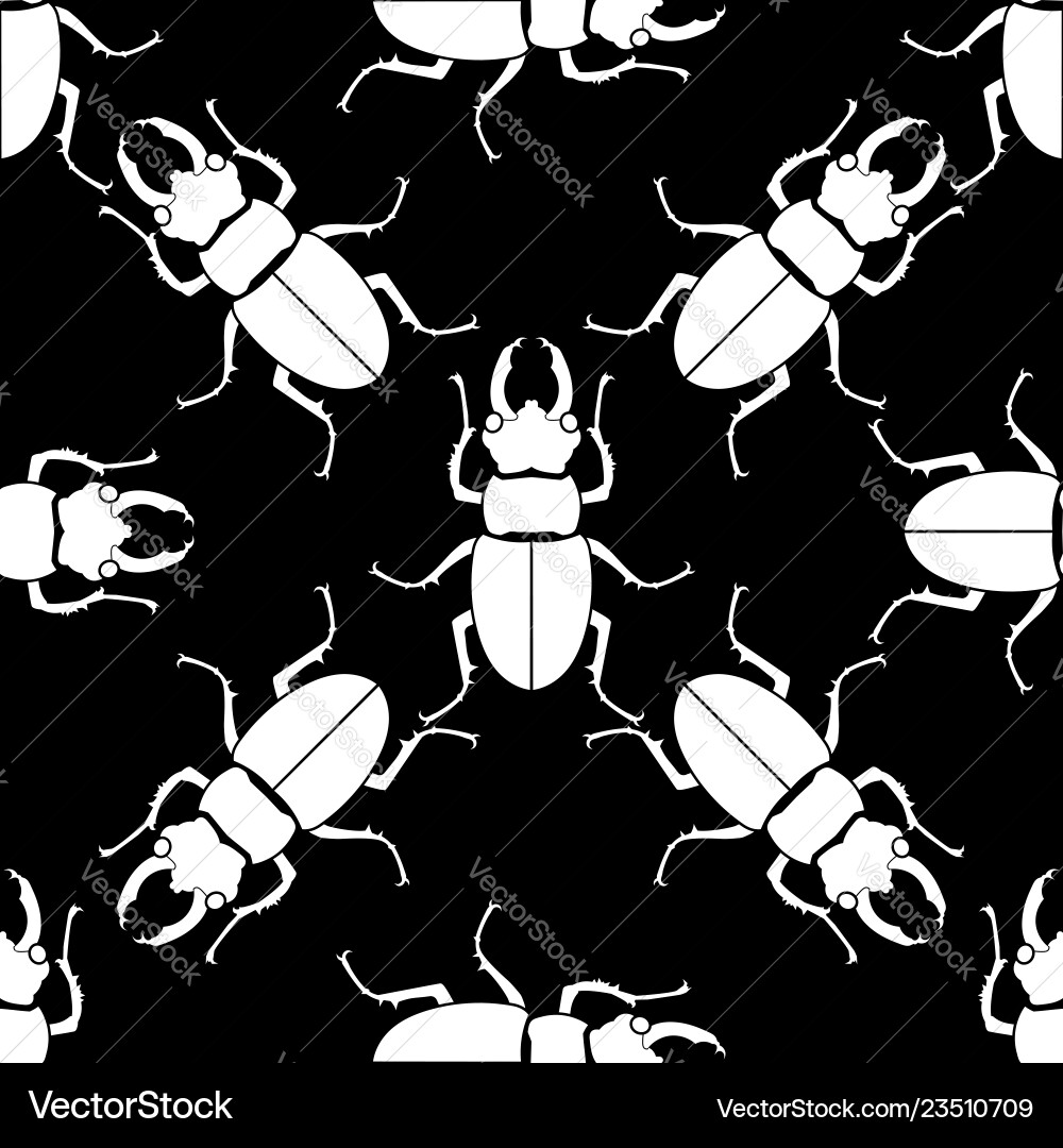 Pattern seamless insect background beetle Vector Image