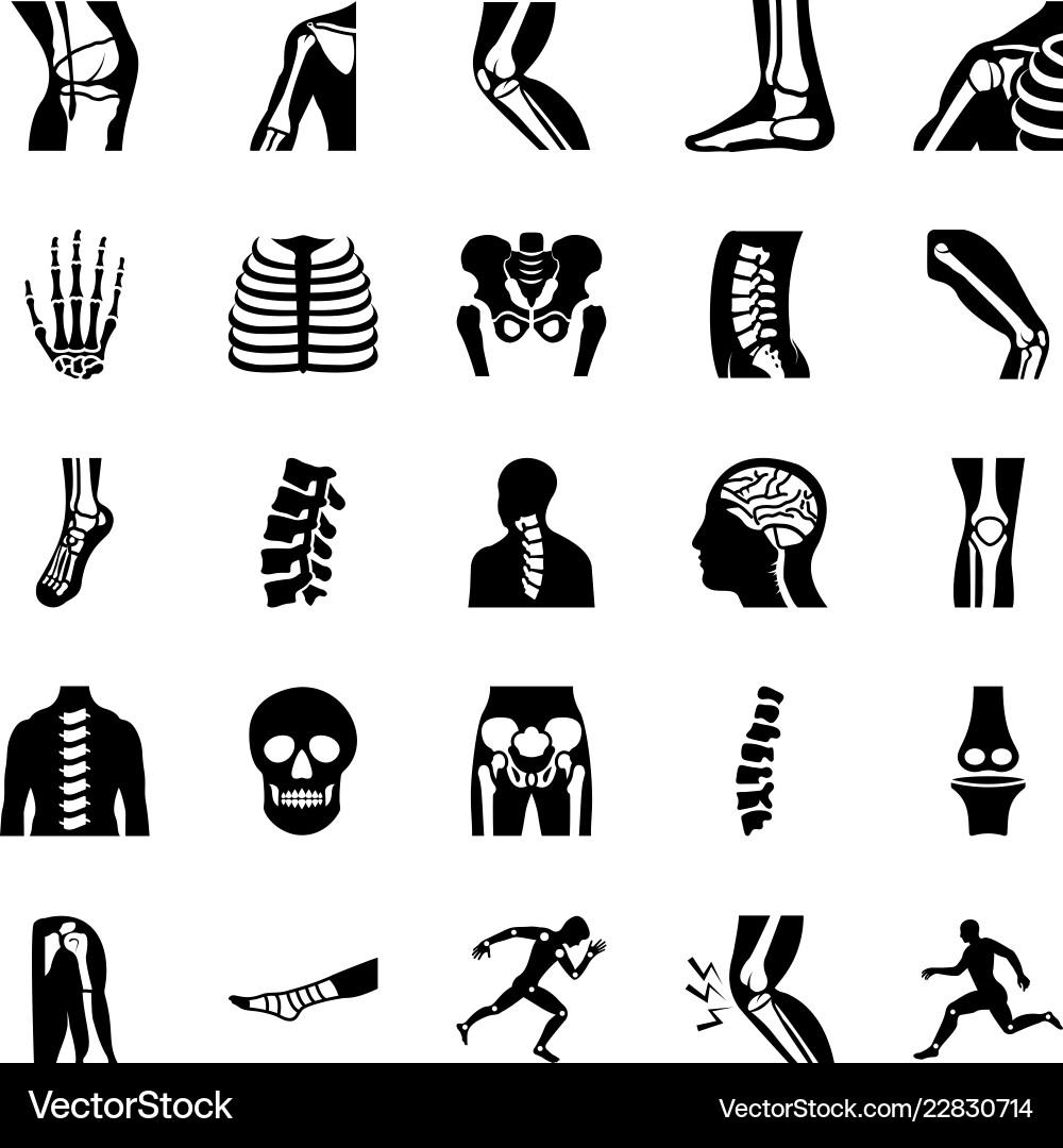 Orthopedic and spine solid set Royalty Free Vector Image