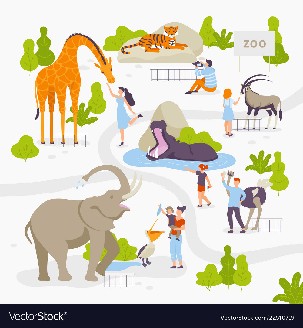 People love and look at wild animals in the zoo Vector Image People love and look at wild animals in the zoo Vector Image