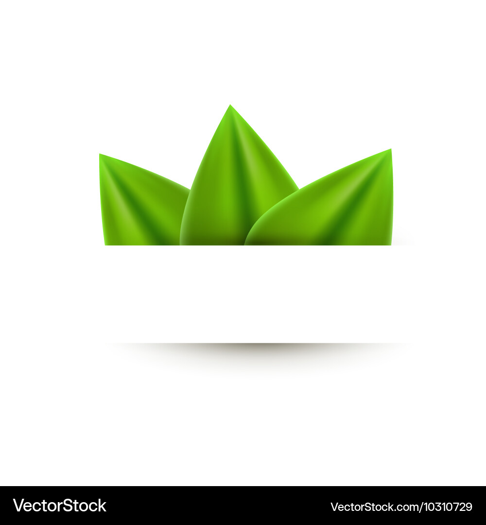 Green Realistic Leaf Paper Banner Abstract Vector Image