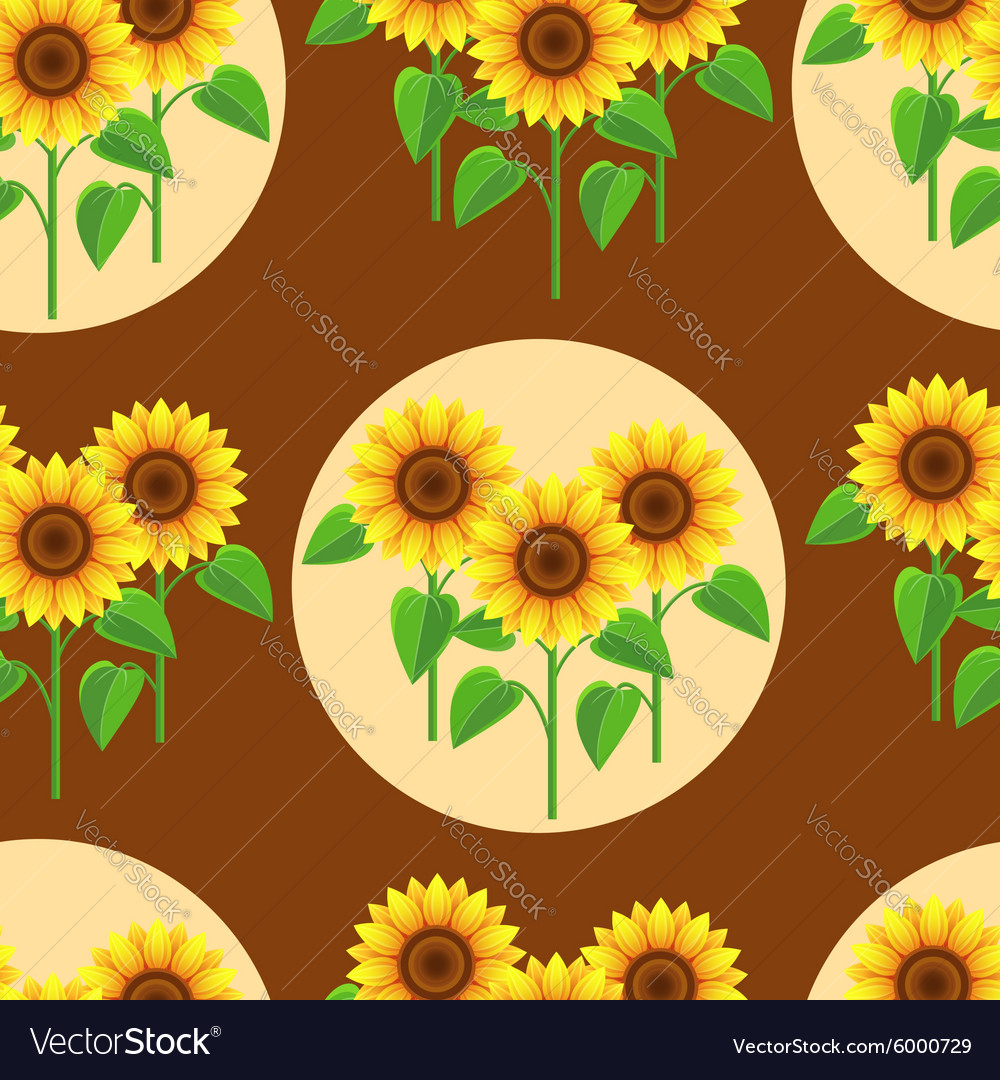 Seamless Pattern With Sunflowers And Circles Vector Image