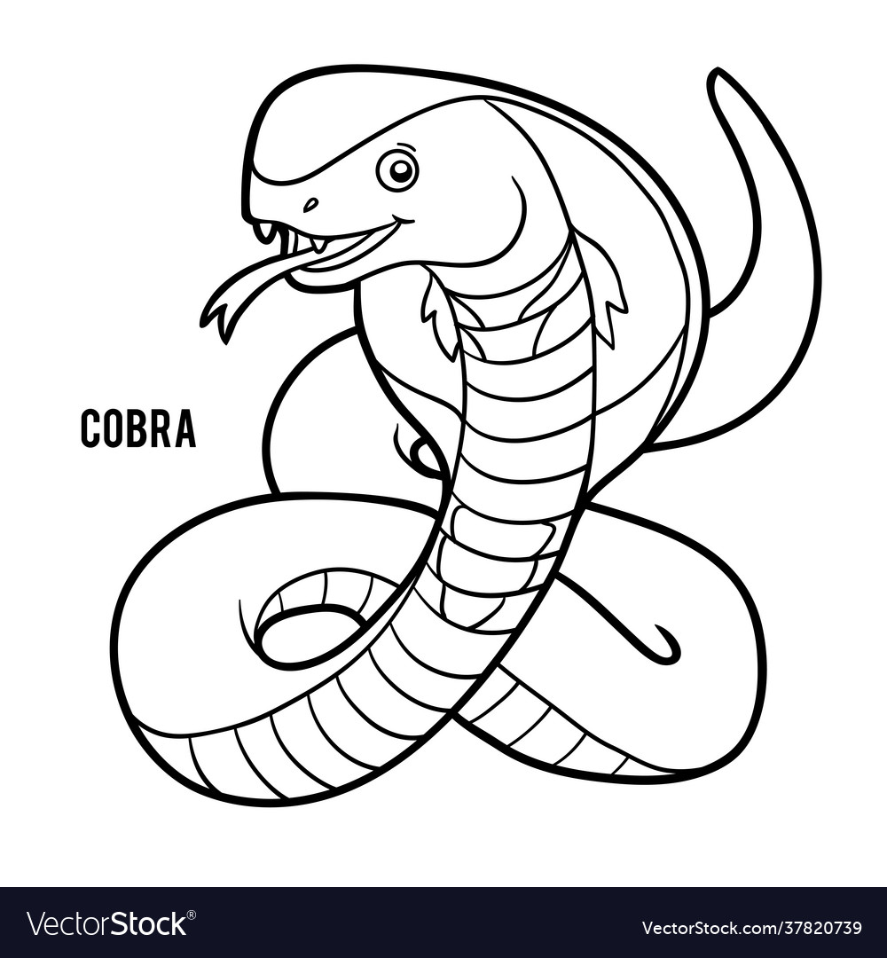 Coloring book cobra Royalty Free Vector Image - VectorStock