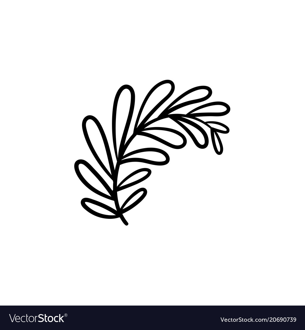 Leaves on branch hand drawn sketch icon