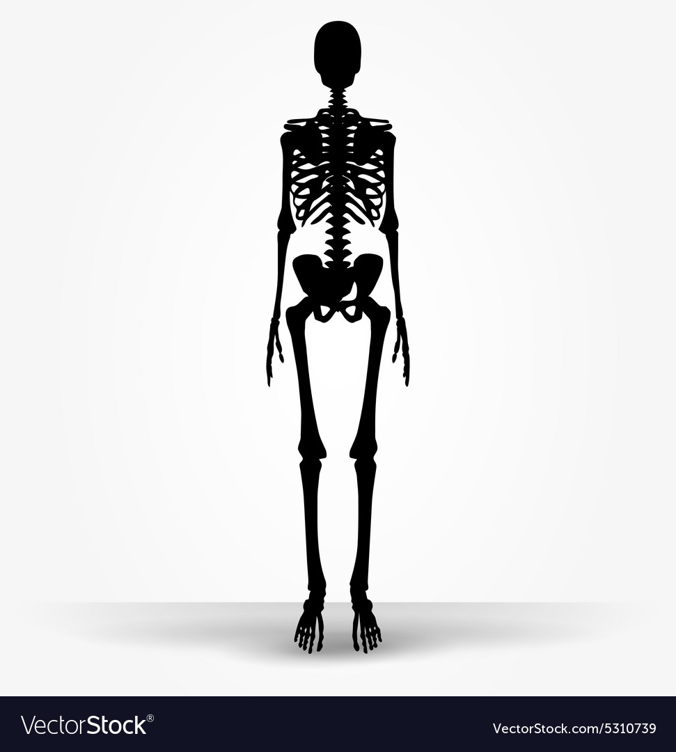 Skeleton silhouette in default pose Royalty Free Vector