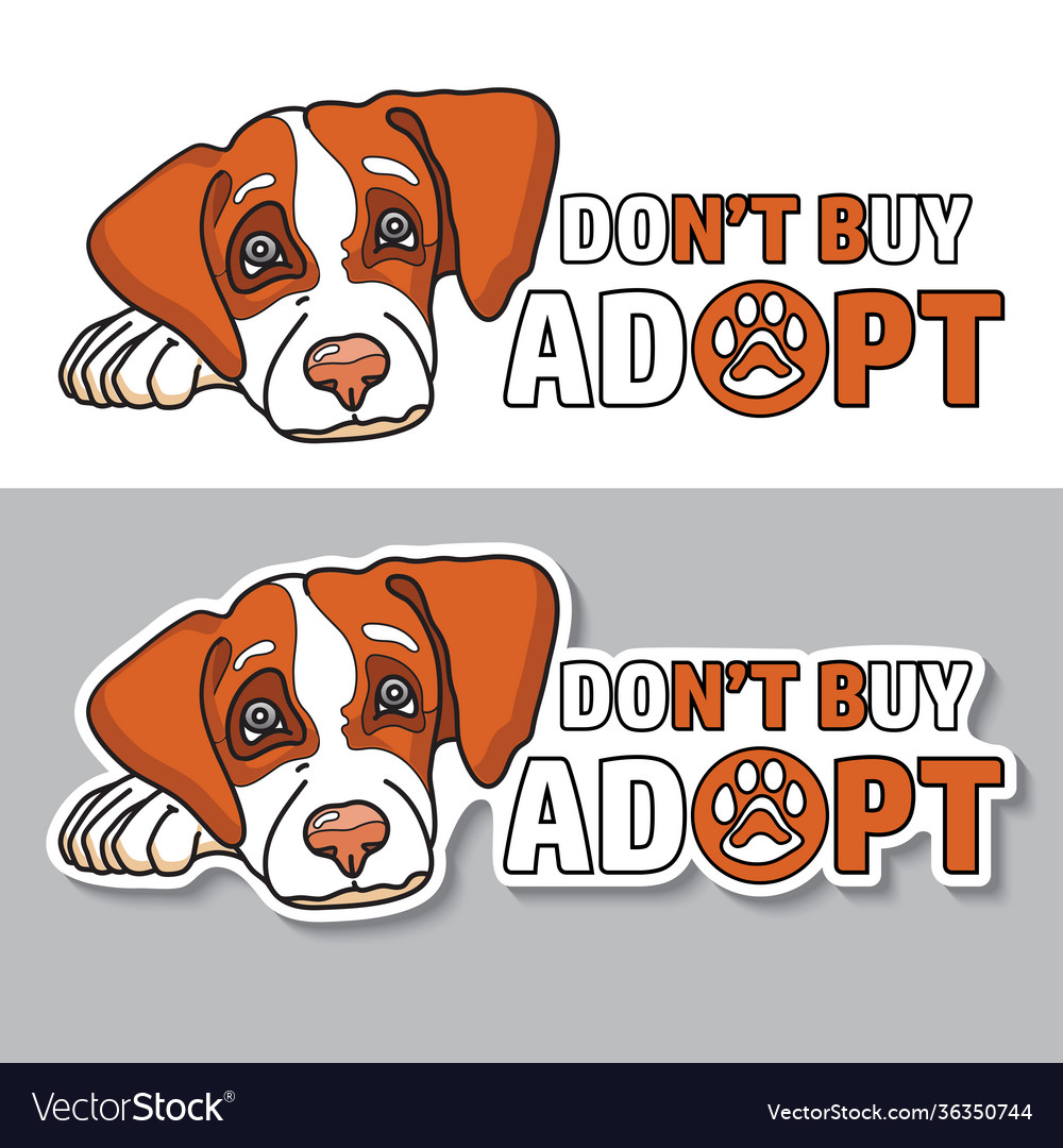 Whats The Difference Between Buying And Adopting A Dog