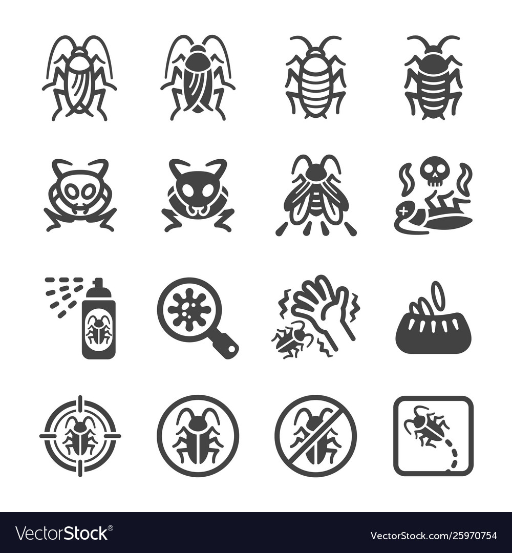 Cockroach icon set Royalty Free Vector Image - VectorStock