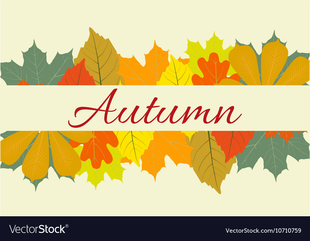 Autumn leaves set october colorful Royalty Free Vector Image