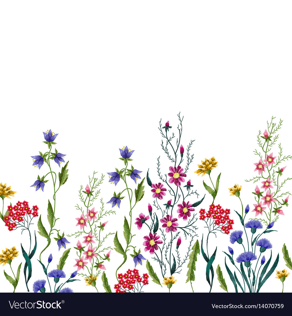 Carol R Davis flowers royalty free vector image vectorstock Carol R Davis flowers royalty free vector image vectorstock
