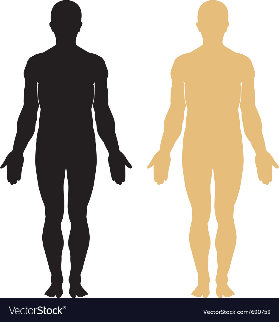 Human body. Vector. Stock Vector