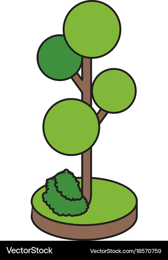 Isometric tree design Royalty Free Vector Image