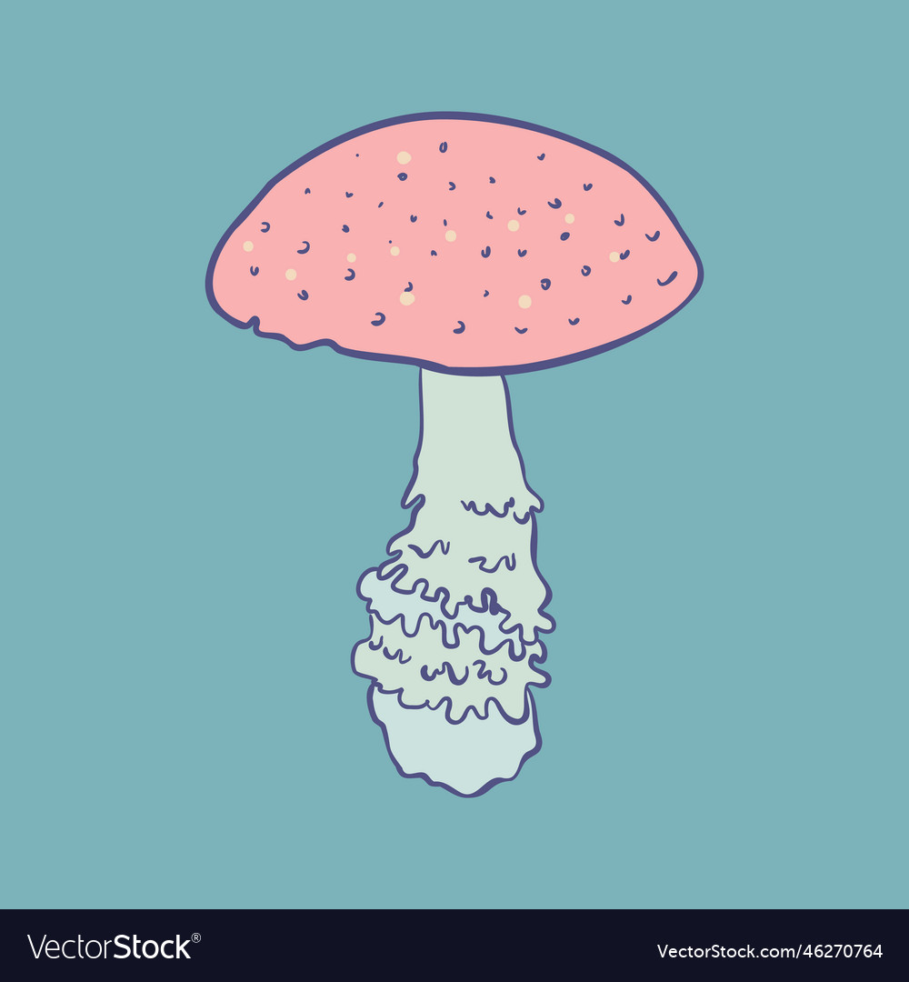 Magic mushroom psychedelic hallucination Vector Image