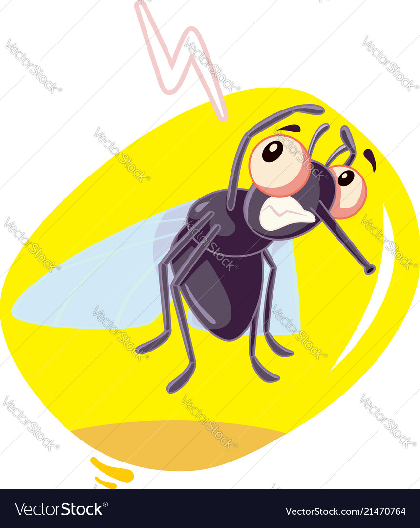 Scared fly insect cartoon Royalty Free Vector Image Scared fly insect cartoon Royalty Free Vector Image