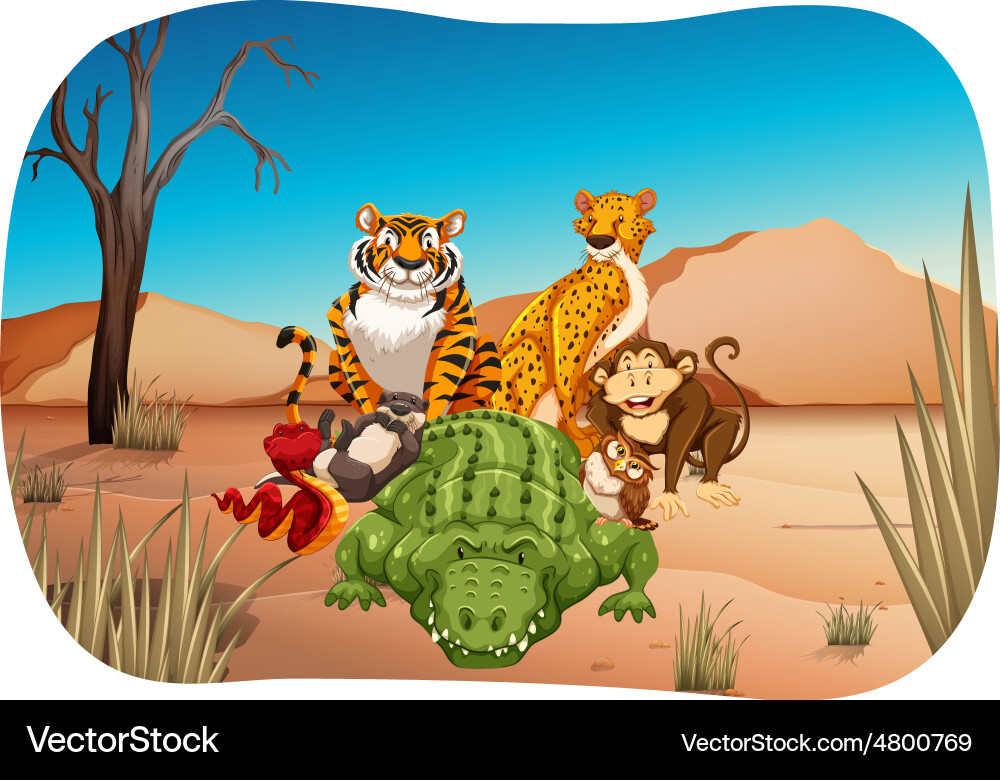Animals Royalty Free Vector Image - VectorStock