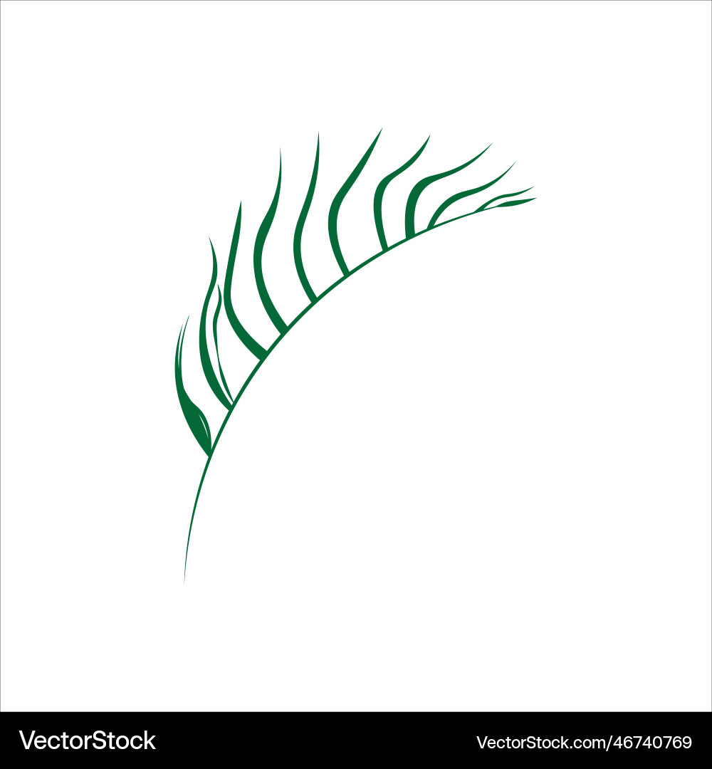 Leaf palm green Royalty Free Vector Image - VectorStock
