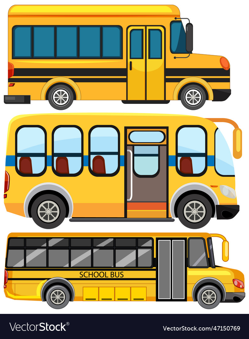 School bus collection Royalty Free Vector Image