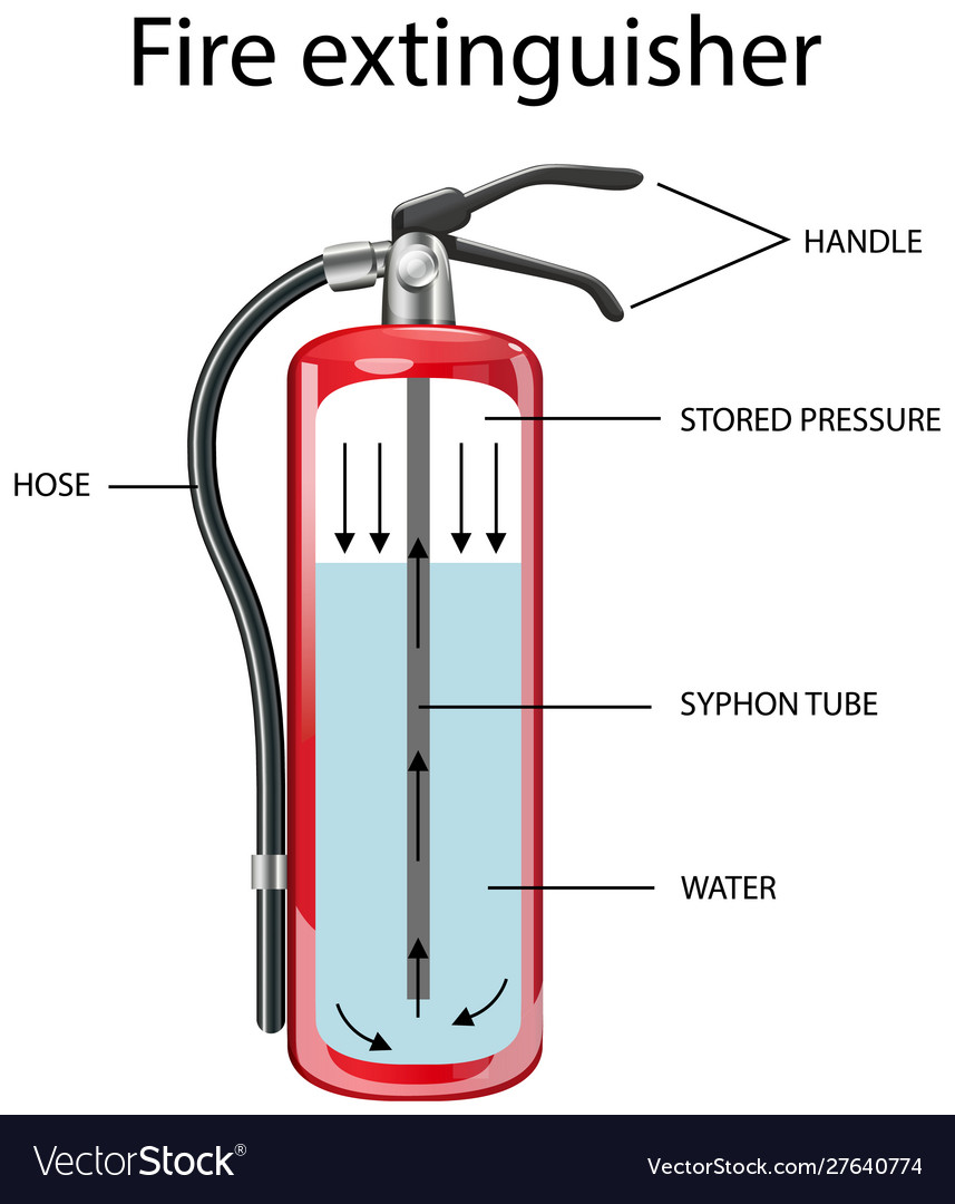 Diagram Showing Inside Fire Extinguisher Vector Image