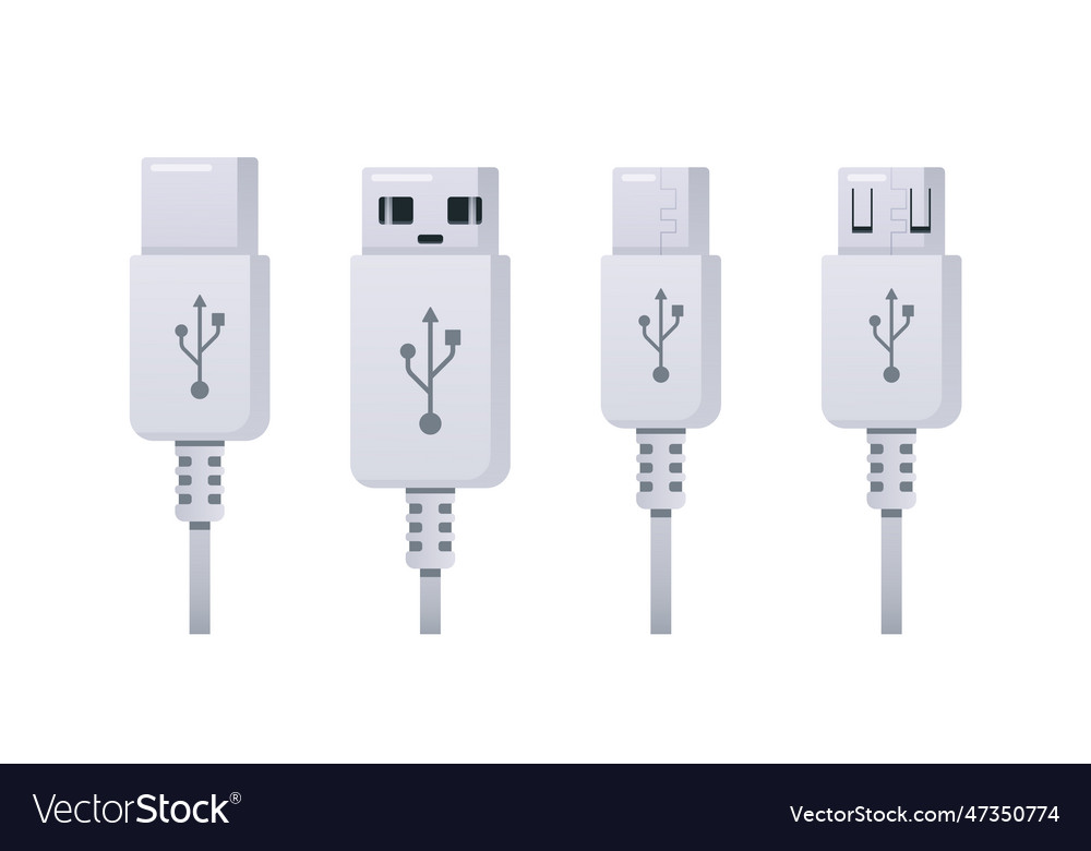 Usb plug types vary including type-a type-b type Vector Image