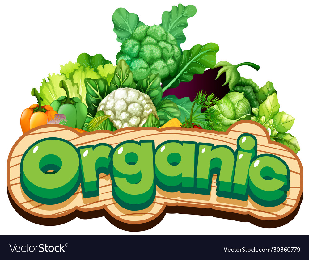 Font design for word organic with many vegetables Vector Image