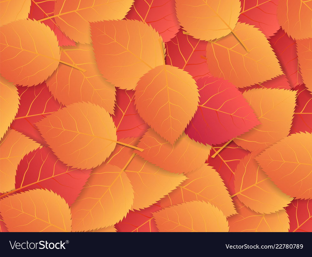 Autumn background with red and orange leaves vector image Autumn background with red and orange leaves
