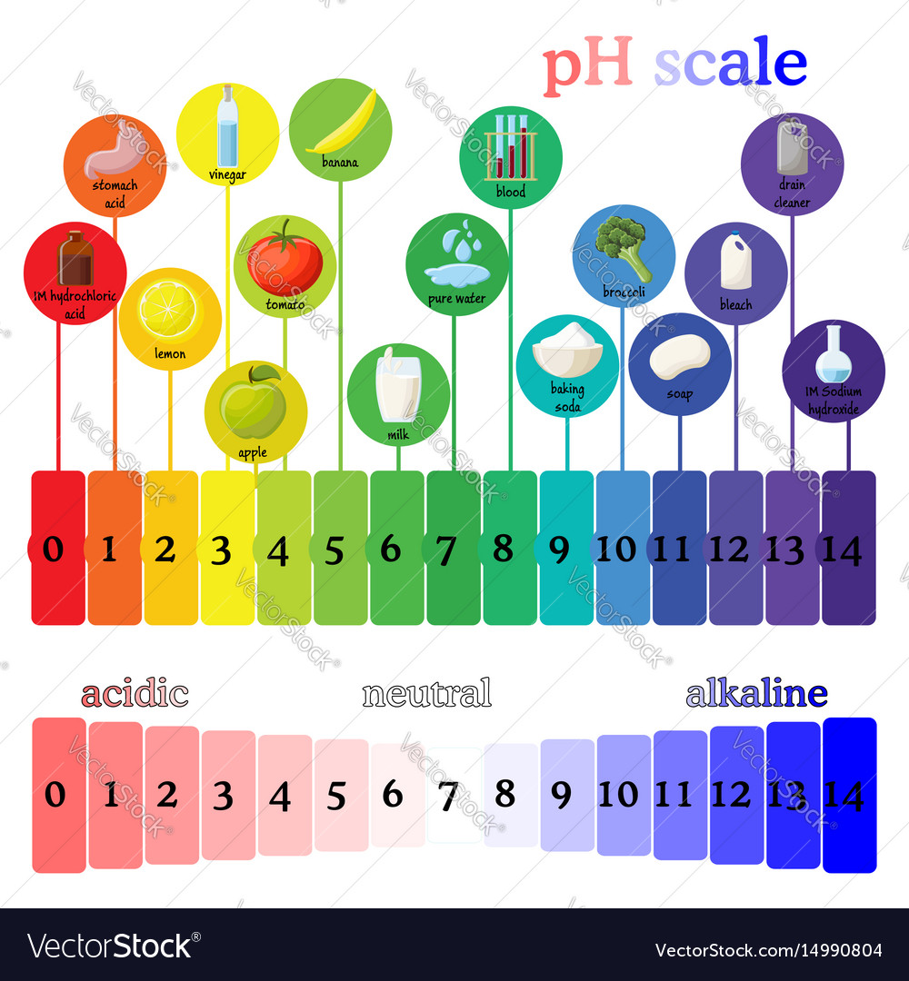 Litmus Paper Color Chart - Ponasa