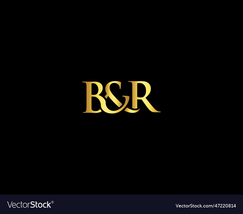 Abstract luxury letter b and r unique logo