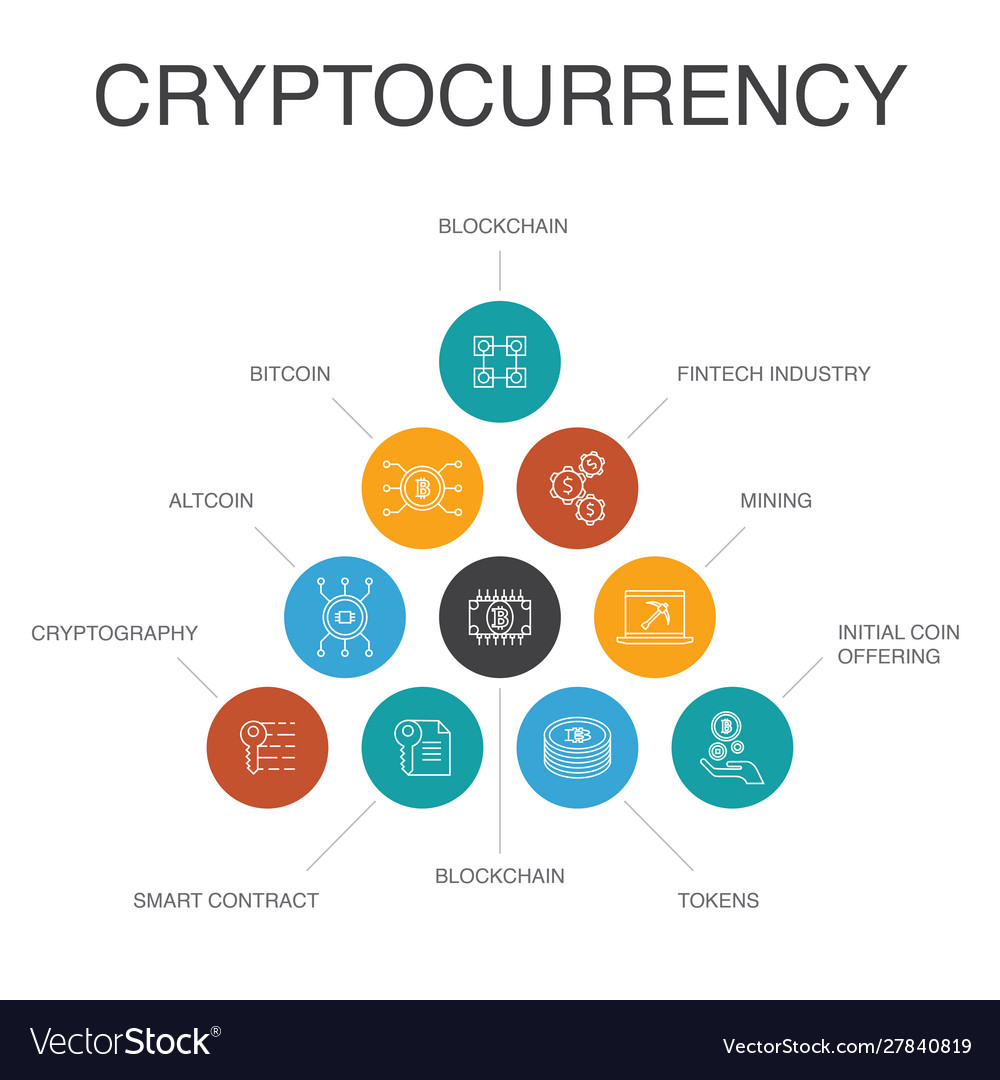 Cryptocurrency Infographic 10 Steps Concept Vector Image