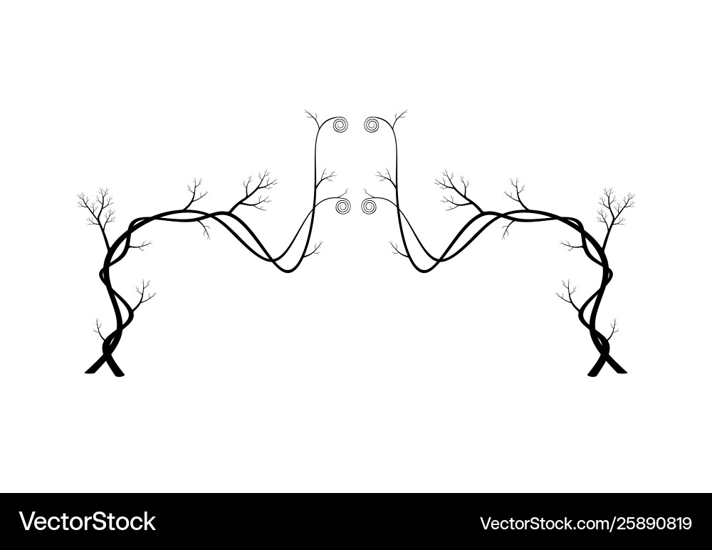 Dry tree silhouette Royalty Free Vector Image - VectorStock