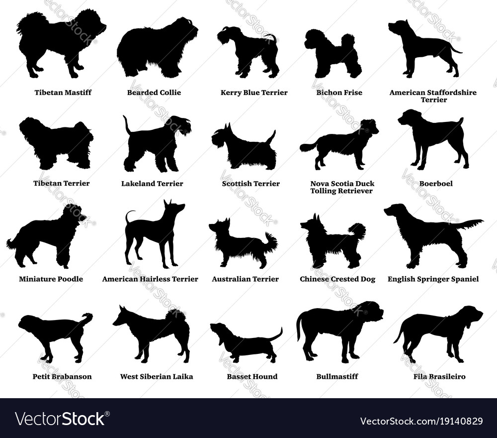 Set of dogs silhouettes-5 Royalty Free Vector Image