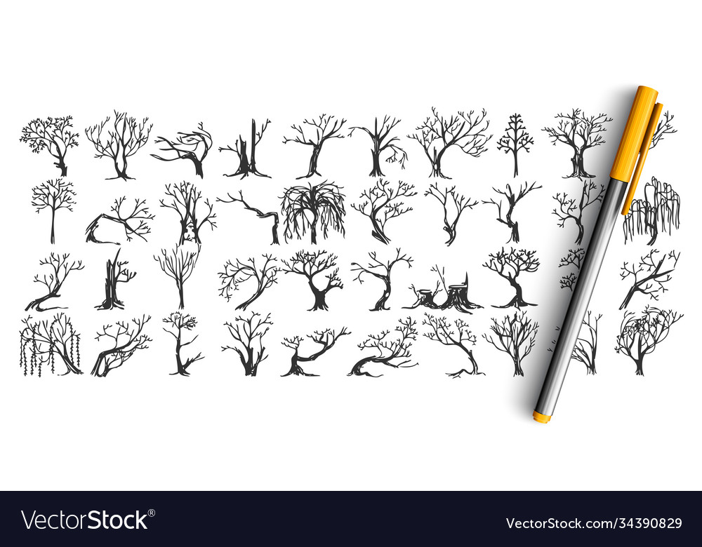 Trees doodle set vector image Trees doodle set