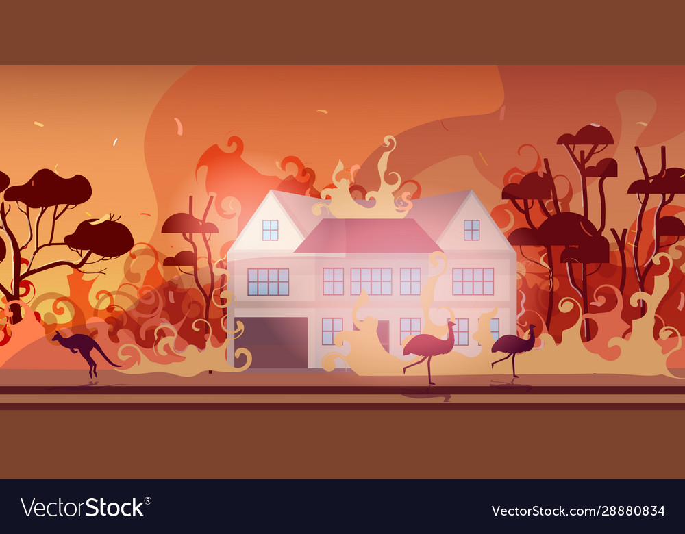 Animals running from forest fires in australia Vector Image Animals running from forest fires in australia Vector Image