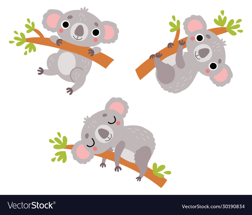 Cute Koalas Character Set Royalty Free Vector Image