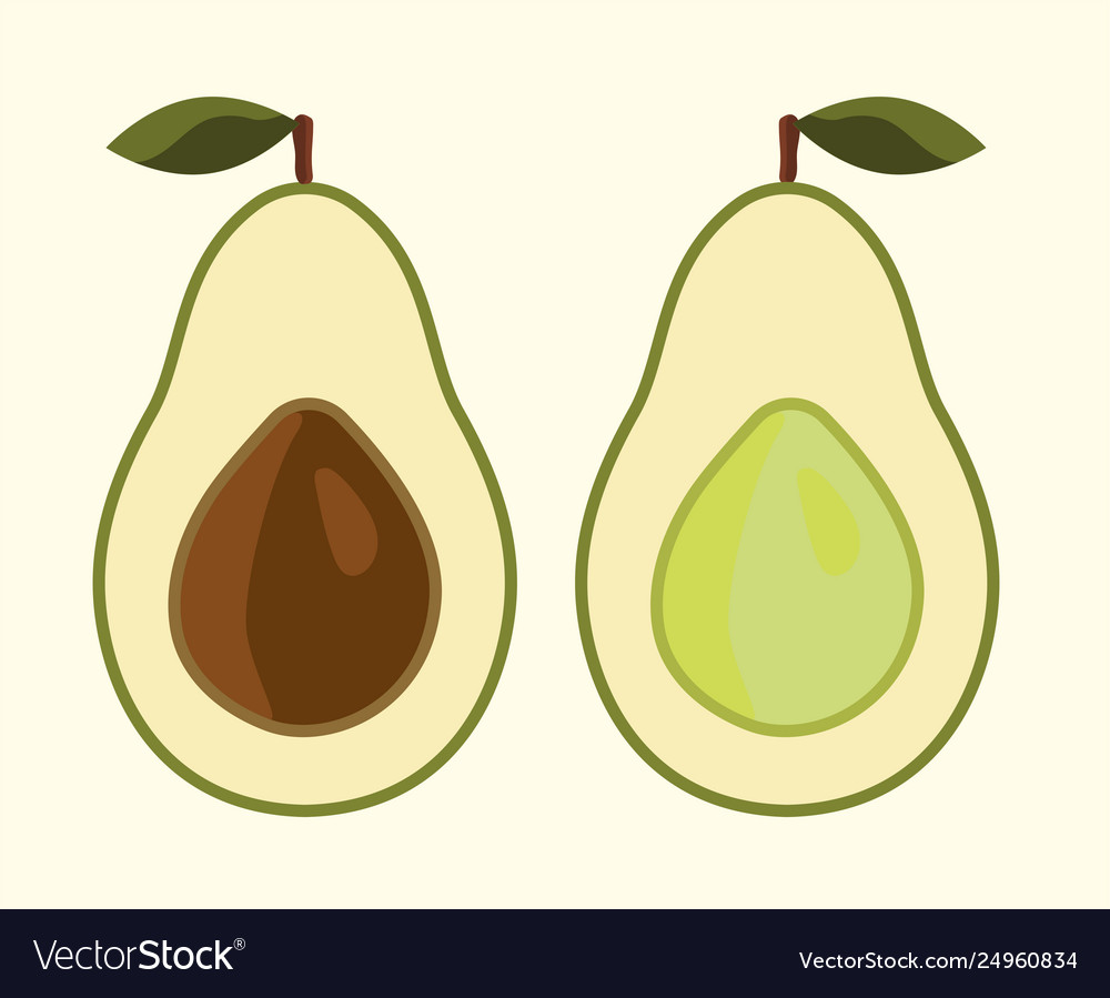 Fresh avocadocartoon flat style Royalty Free Vector Image