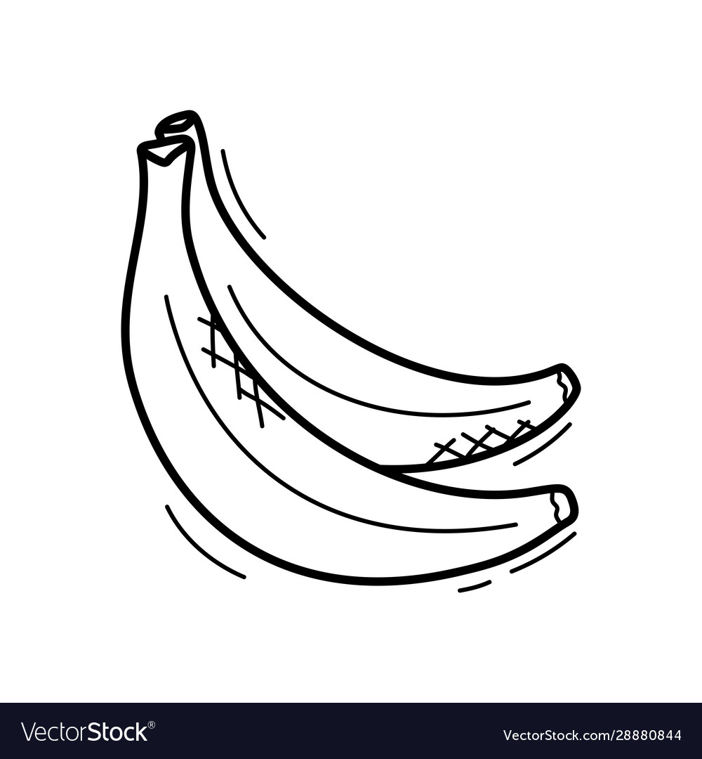 Hand drawn doodle banana icon for backgrounds vector image Hand drawn doodle banana icon for backgrounds