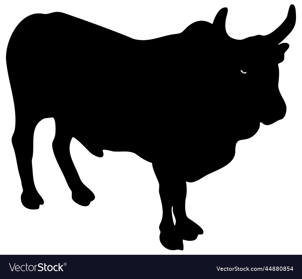 Bull male cow a high quality detailed cattle Vector Image